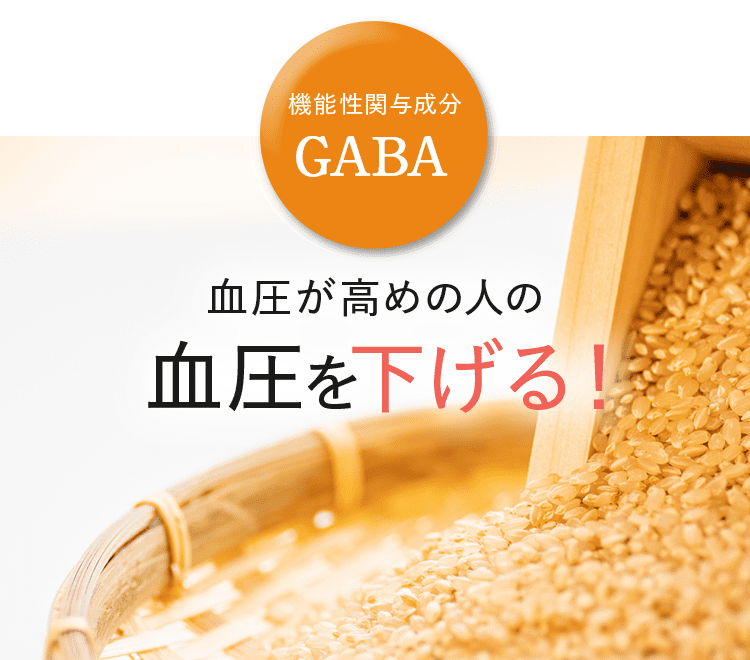 機能性関与成分 GABA